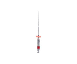 TF Adaptive S/M 1