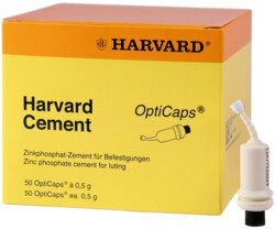 Harvard Cement