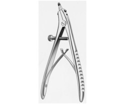 Carl Martin, Prothetik