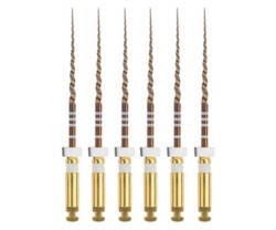 ProTaper Gold Shaping steril