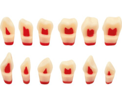 Demonstrationsmodelle