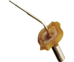 Gutta Percha